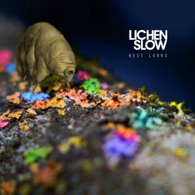 Lichen Slow - Rest Lurks (LP)