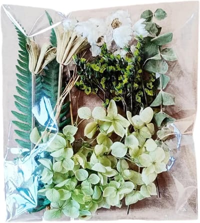 Gedroogd Bloemenboeket - Natuurlijke Bloemen - Handwerk Decoratie - Veelzijdig Knutselpakket - Groen