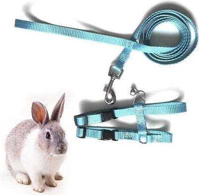 WiseGoods - Premium Konijnen Tuigje Met Lijn - Harnas - Riem - Lijnband - Blauw