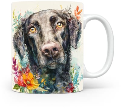Beker Krulvacht Retriever