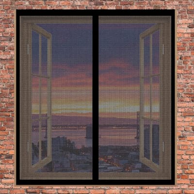 Universeel Magnetisch Hor voor Ramen en Deuren - 145x75 cm - Zonder Boren - Insectenwerend en Wasbaar