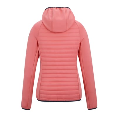 Regatta Dames/Dames Anderson Hybride Jas (Perzik Roze)