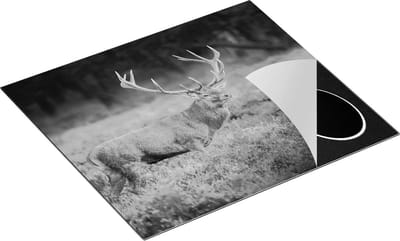 Chefcare Inductie Beschermer Hert in de Weide tijdens Zonsondergang - Zwart Wit - 60x50 cm - Afdekplaat Inductie - Kookplaat Beschermer - Inductie Mat