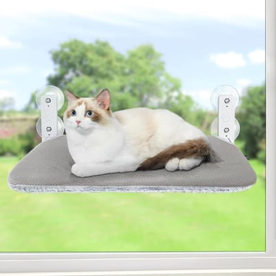 Kattenraam Hangmat 45x30 cm – Opvouwbaar Raamzitje met Sterke Zuignappen en Stalen Frame, Draagbaar tot 25 kg, Omkeerbare Wasbare Hoes, Comfortabel Pluche & Ademend Mesh