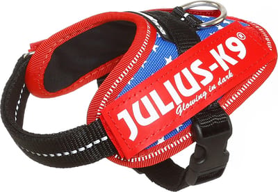 Julius-K9 IDC®Powertuig, 3XS - Baby1, Ameri Canis