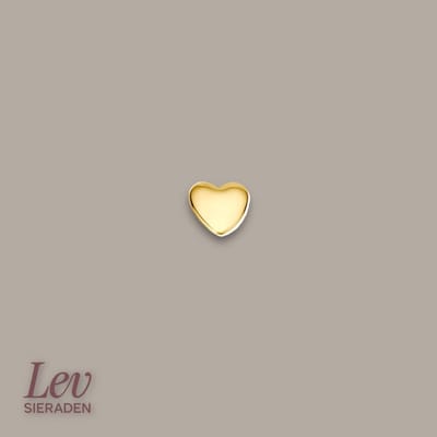 Lev Sieraden - 14 karaat Geelgouden Labret 1.0 x 8 mm met hartje 4 mm - Piercing - labret piercing - neuspiercing staafje - tragus piercing - Monroe piercing - Oorpiercing