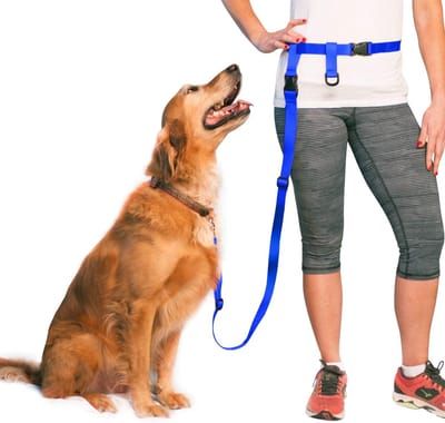 Handsfree Hondenriem - Verstelbare Riem - Hardlopen Wandelen - Opbergbaar Gebruik - Taille 27-50 - Koningsblauw