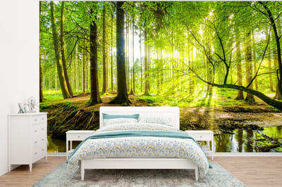 Behang - Fotobehang Bos - Landschap - Water - Bomen - Zon - Groen - Natuur - Breedte 295 cm x hoogte 220 cm