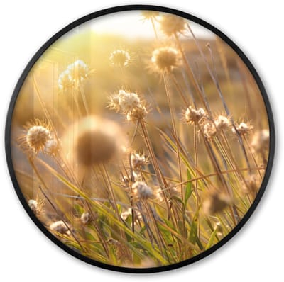 Poster in lijst Rond - Fotolijst 60x60 cm - Posters - Planten - Natuur - Bloemen - Zon - Horizon - Ronde posterlijst zwart - Decoratie - Wanddecoratie woonkamer - Muurdecoratie slaapkamer