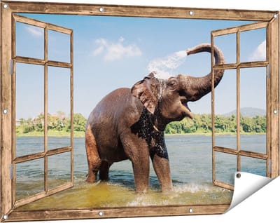 Gards Tuinposter Doorkijk Vrolijke Olifant in het Water - 120x80 cm - Tuindoek - Tuindecoratie - Wanddecoratie buiten - Tuinschilderij