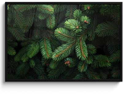 Poster in lijst - Fotolijst 120x80 cm - Posters - Sparrentakken - Knoppen - Naalden - Groen - Posterlijst zwart - Decoratie - Wanddecoratie woonkamer - Muurdecoratie slaapkamer