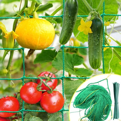 2 x 3 m met grote maaswijdte, komkommernet, ranknet voor klimplanten, ideale klimhulp voor komkommers, tomaten, tuinen, broeikasaccessoires