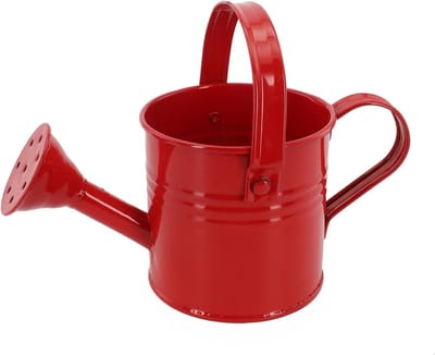 Metalen gieter - Plantensproeier binnen - Planten water geven - Lange smalle tuit - 15 x 8 x 7 cm