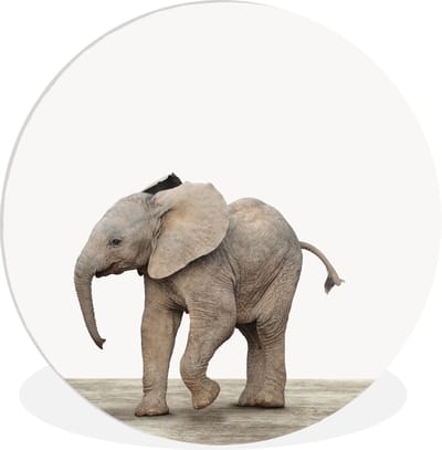 Muurcirkel - Kinderkamer decoratie - Kinderen - Olifant - Dieren - Kalf - Wanddecoratie - Wandcirkel dieren - 30x30 cm - Kunststof
