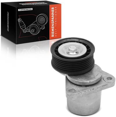 Frankberg 1x spanner rolriem voor FORD