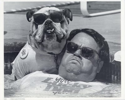 Mini zwart-wit poster - Chilling Man and Dog  - Bettmann Newsphotos - 24x30 cm