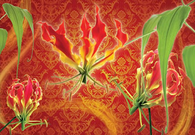 Fotobehang Flowers Floral | XL - 208cm x 146cm | 130g/m2 Vlies