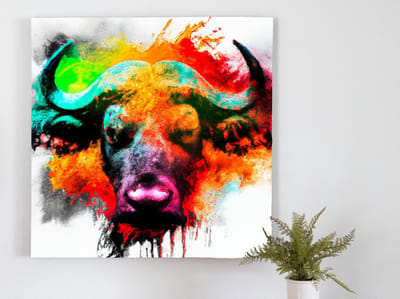 Tinted buffalo | Tinted Buffalo | Kunst - 60x60 centimeter op Dibond | Foto op Dibond