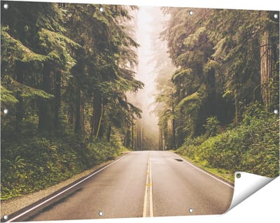 Gards Tuinposter Highway in Californië Omring met Bos - 120x80 cm - Tuindoek - Tuindecoratie - Wanddecoratie buiten - Tuinschilderij