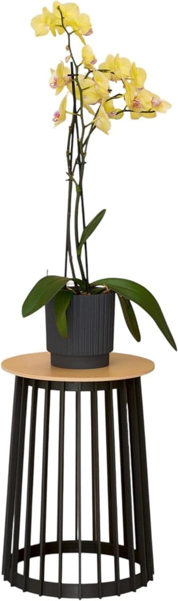 Ronde bijzettafel - Metalen plantentafel - Buitenmeubilair - Weerbestendig ontwerp - Maat XL - Zwart