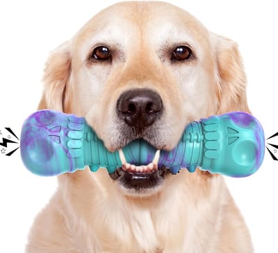 Dailygoods- Kauwspeelgoed Onverwoestbaar - Hondenspeelgoed voor Grote/Middelgrote Honden - Piepspeelgoed van Rubber - Tandenreiniger - Duurzaam en Robuust - Hondenspeeltje