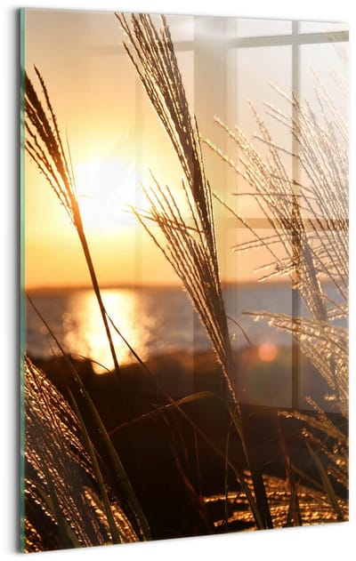 Wallfluent Glasschilderij - Tarwe in het gouden uur Glas Foto - 40x60 cm - Bruin Verticale Muurschildering - Natuur Glazen Schilderij - Foto Op Glas - Foto Schilderij Op Glas
