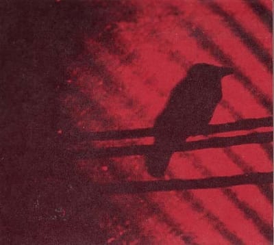 Thee Silver Mt. Zion Memorial Orchestra - Born Into Trouble As The Sparks Fly Upward. (2 10" LP)