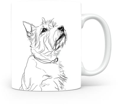 Beker Norwich Terrier