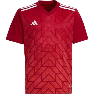 Kindertrui adidas Team Icon 23