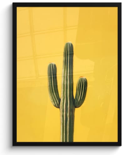 Poster in lijst - Fotolijst 50x70 cm - Posters - Cactus - Groen - Minimalistisch - Posterlijst zwart - Decoratie - Wanddecoratie woonkamer - Muurdecoratie slaapkamer