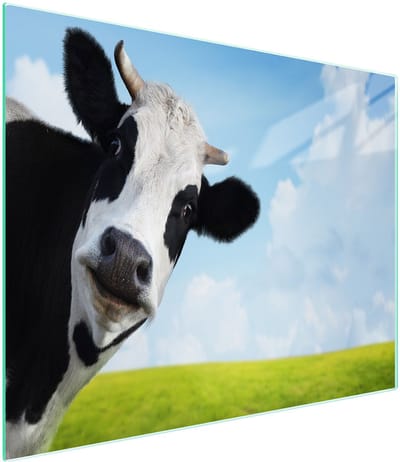 TMK ArtDeko Serie - Snijplank - 52x30 cm - Kleurig Koeienmotief - Veilig Gehard Glas