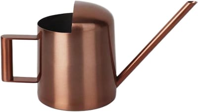 Mini Gieter - Kleine Waterkoker - Planten Water Geven - Roestvrij Staal - 300 ml - Brons
