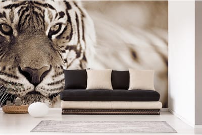 Fotobehang Tiger DD114684 A.S. Création XXL 5 | Fotobehang