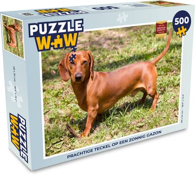Puzzel Prachtige Teckel op een zonnig gazon - Legpuzzel - Puzzel 500 stukjes