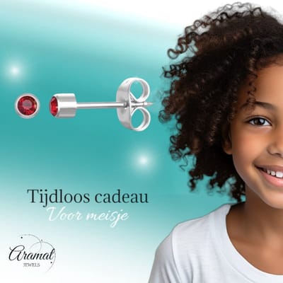 Aramat Jewels | Oorbellen | Stalen Schietoorbellen met Kristalsteentje | Zilverkleur / 3mm / Paars | |3mm | Staal | Kinderen, Volwassenen | Verkleurd niet