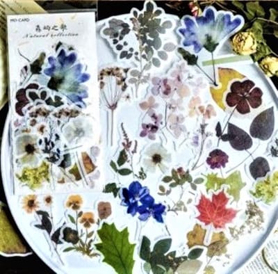 Meer Leuks Deco stickers - Natural Collection Bloemen & Planten voor bulletjournal & scrapbooking - 60 stuks