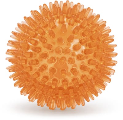 WK 2026 Oranje Egelbal 8 cm - Honden speelgoed - WK Nederland - Ondersteunt Gebitsverzorging