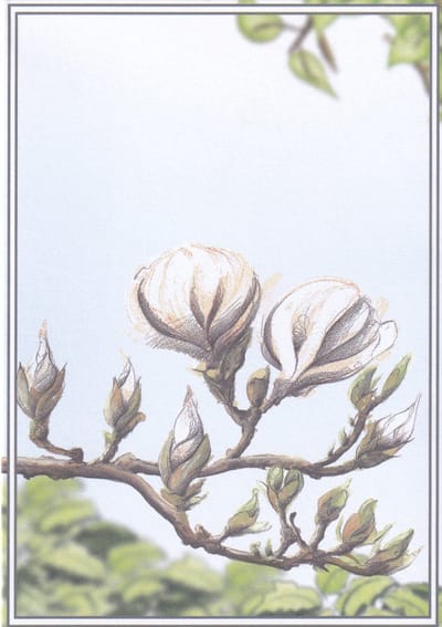 Rouwkaarten - 100 stuks – Zonder tekst - 10,5 x 14,5 cm - Rouwboeket Kaart – Rouw-3
