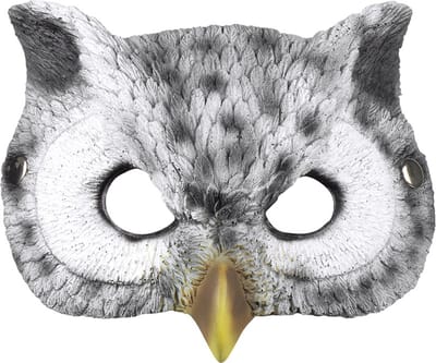Boland - Foam masker Uil - Kinderen en volwassenen - Uil - Dieren