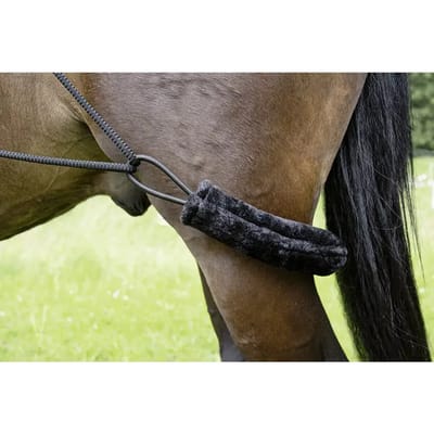HKM pessoateugel - longeerhulp - zwart - one size