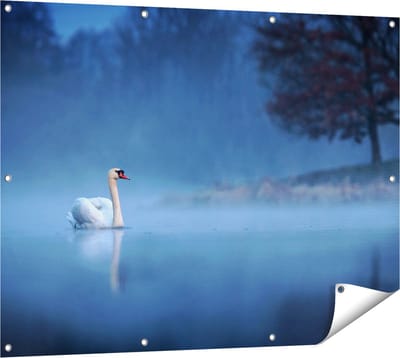 Gards Tuinposter Zwaan op het Water tussen de Mist - 120x90 cm - Tuindoek - Tuindecoratie - Wanddecoratie buiten - Tuinschilderij