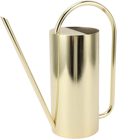 Elegante Gieter voor Binnen en Buiten - 1500 Ml Roestvrijstalen Waterkan met Lange Tuit voor Planten