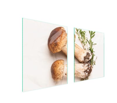 TMK ArtDeko Serie - Glazen Beschermplaat voor Fornuis - 85x52cm - Grzyby