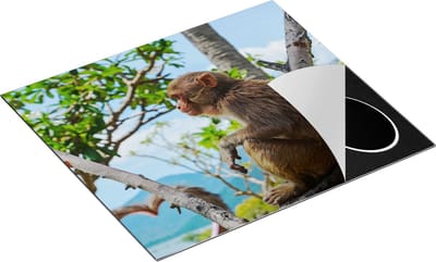 Chefcare Inductie Beschermer Aap in de Boom - 60x50 cm - Afdekplaat Inductie - Kookplaat Beschermer - Inductie Mat