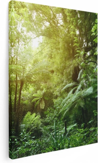 Artaza Canvas Schilderij Jungle - 30x40 cm - Klein - Wanddecoratie Bos - Muurdecoratie Landschap - Schilderijen Op Canvas