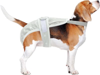 Hondenluier voor Teefjes, Menstruatieluiers voor Puppy's, Wasbare en Herbruikbare Onderbroeken met Verstelbare Bandjes, Groot, Grijs, Ideaal voor Zindelijkheidstraining en Bescherming tijdens de Loopperiode