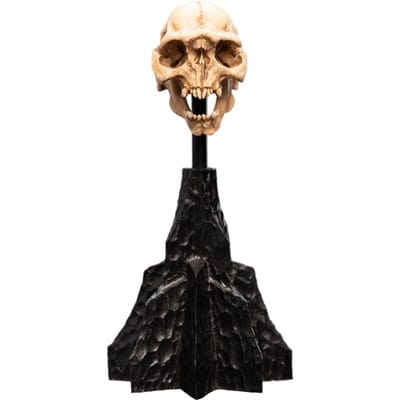 Weta Workshop Lord of the Rings Mini Statue Skull of a Moria Orc 13 cm Beeld