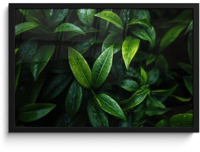 Poster in lijst - Fotolijst 60x40 cm - Posters - Bladeren - Regendruppels - Licht - Groen - Posterlijst zwart - Decoratie - Wanddecoratie woonkamer - Muurdecoratie slaapkamer