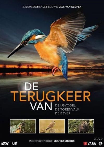 De Terugkeer Van De Ijsvogel, Torenvalk En Bever