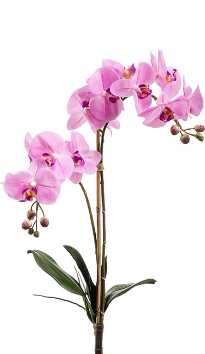 Emerald - Kunstplant Phalaenopsis RT 65cm roze - Kunstplant voor binnen